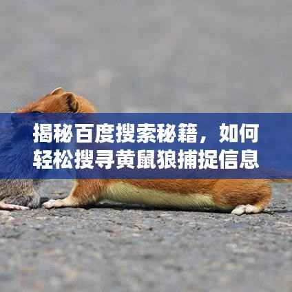 揭秘百度搜索秘籍,如何轻松搜寻黄鼠狼捕捉信息全攻略