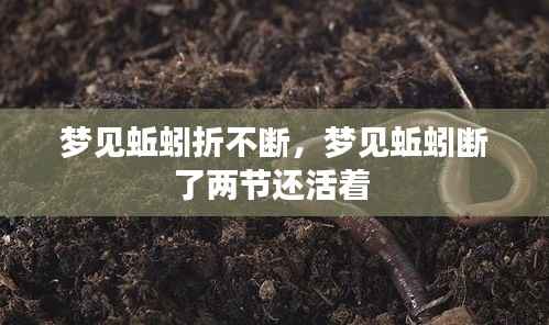 梦见蚯蚓折不断,梦见蚯蚓断了两节还活着
