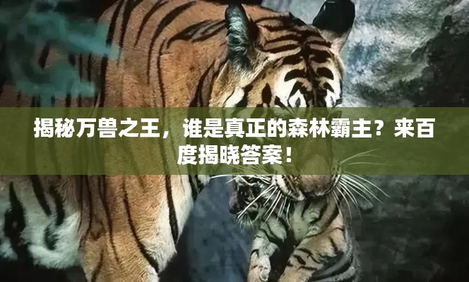 揭秘万兽之王,谁是真正的森林霸主?来百度揭晓答案!