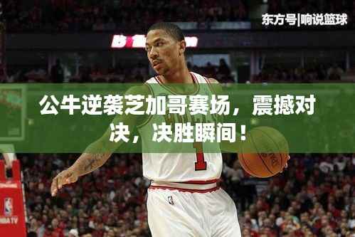 公牛逆袭芝加哥赛场,震撼对决,决胜瞬间!