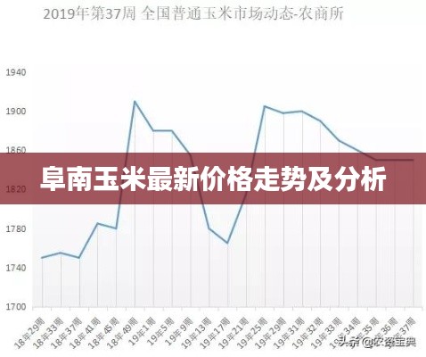 阜南玉米最新价格走势及分析