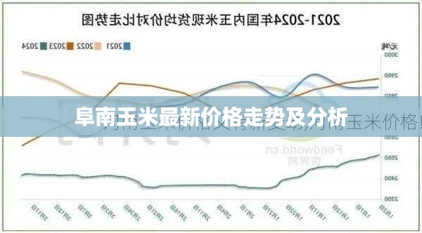 阜南玉米最新价格走势及分析