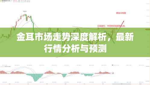 金耳市场走势深度解析,最新行情分析与预测