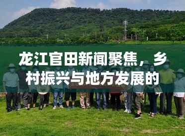 龙江官田新闻聚焦,乡村振兴与地方发展的紧密融合之路