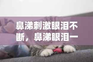 鼻涕刺激眼泪不断,鼻涕眼泪一大把之后眼睛疼