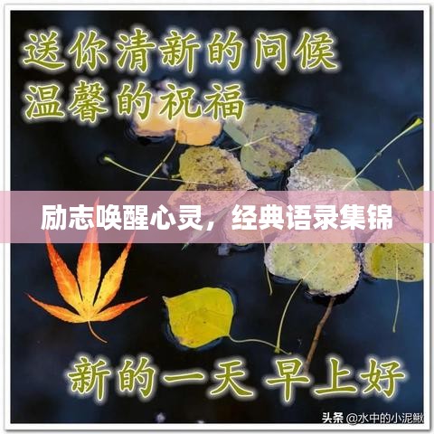 励志唤醒心灵,经典语录集锦