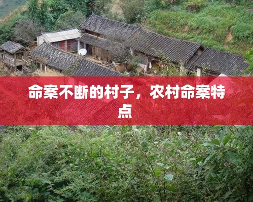 命案不断的村子,农村命案特点