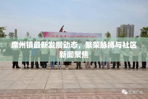 席州镇最新发展动态,繁荣脉搏与社区新闻聚焦