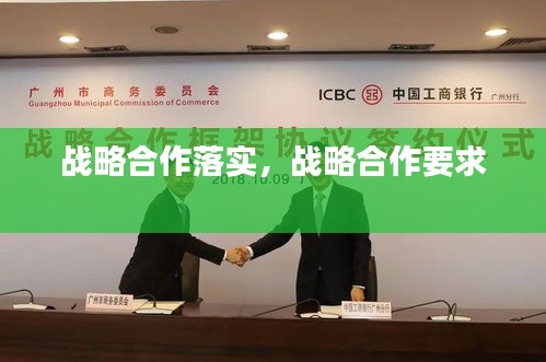 战略合作落实,战略合作要求