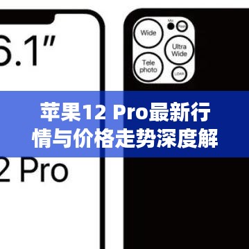 苹果12 Pro最新行情与价格走势深度解析