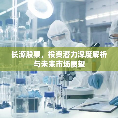 长源股票,投资潜力深度解析与未来市场展望
