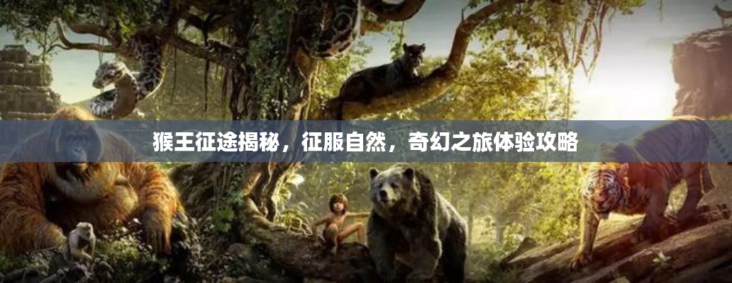 猴王征途揭秘，征服自然，奇幻之旅体验攻略
