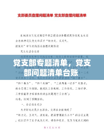 党支部专题清单,党支部问题清单台账