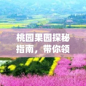 桃园果园探秘指南,带你领略果香四溢的绝美风光!