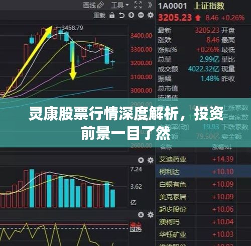 灵康股票行情深度解析,投资前景一目了然