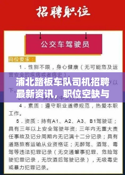 浦北踏板车队司机招聘最新资讯,职位空缺与要求全解析
