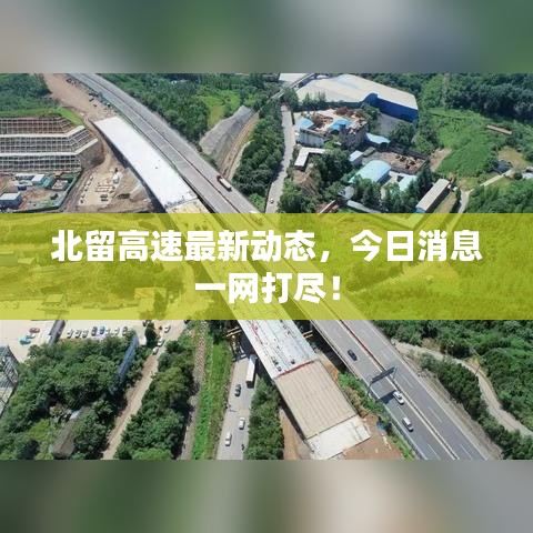 北留高速最新动态，今日消息一网打尽！