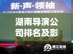 湖南导演公司排名及影响力概览,揭秘业界领军力量