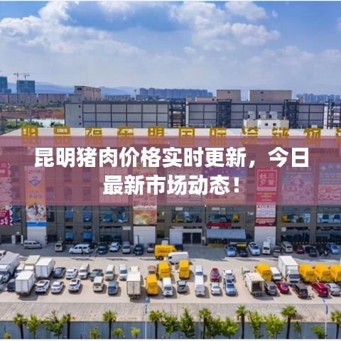 昆明猪肉价格实时更新,今日最新市场动态!