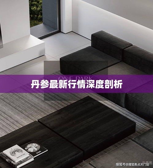 丹参最新行情深度剖析