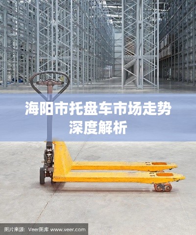 海阳市托盘车市场走势深度解析