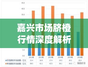 嘉兴市场脐橙行情深度解析,今日价格、销量及趋势一网打尽