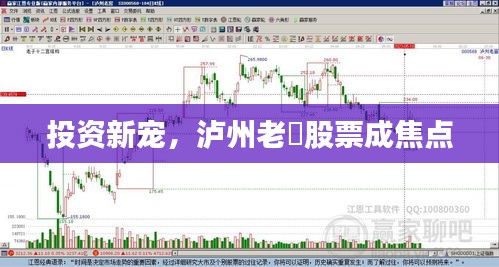 投资新宠,泸州老滘股票成焦点