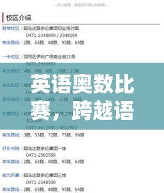 英语奥数比赛，跨越语言界限的智慧较量