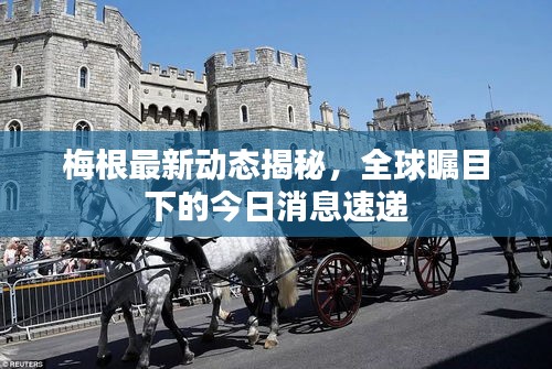 梅根最新动态揭秘,全球瞩目下的今日消息速递