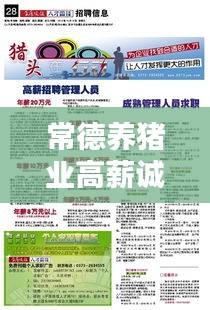 常德养猪业高薪诚聘人才,最新招聘信息汇总