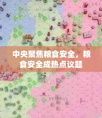 中央聚焦粮食安全，粮食安全成热点议题