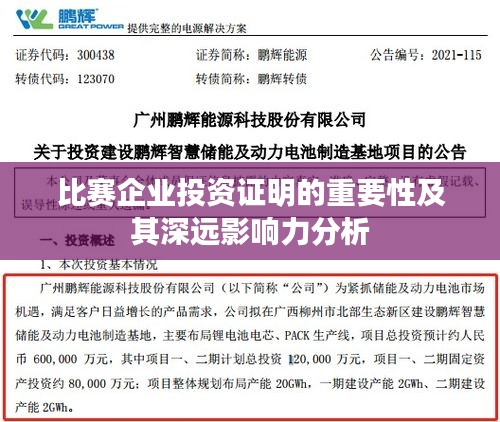 比赛企业投资证明的重要性及其深远影响力分析