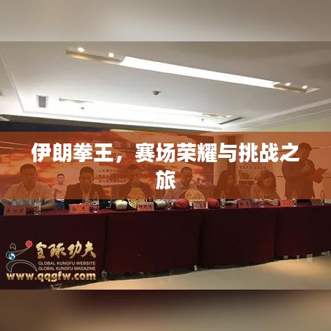 伊朗拳王,赛场荣耀与挑战之旅