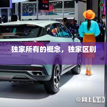 独家所有的概念,独家区别