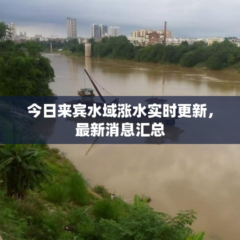 斫琱为朴 第2页