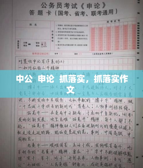 中公  申论  抓落实,抓落实作文
