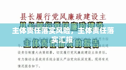主体责任落实风险,主体责任落实汇报