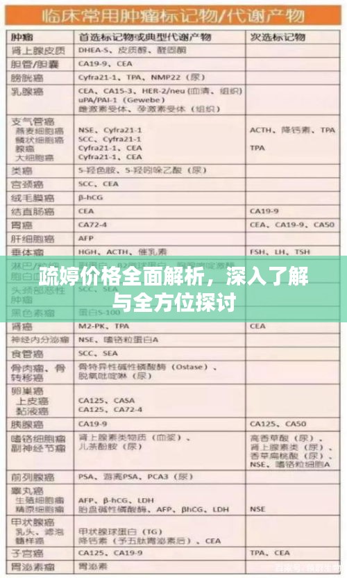 疏婷价格全面解析,深入了解与全方位探讨