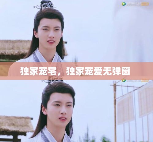 独家宠宅,独家宠爱无弹窗