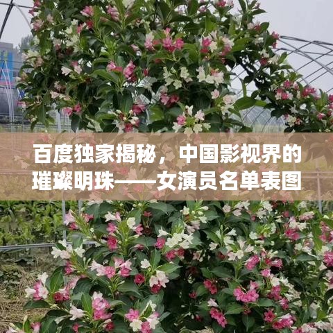 百度独家揭秘，中国影视界的璀璨明珠——女演员名单表图全解析