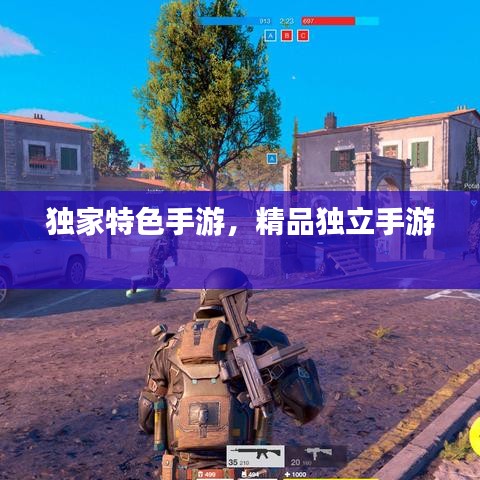 独家特色手游，精品独立手游 