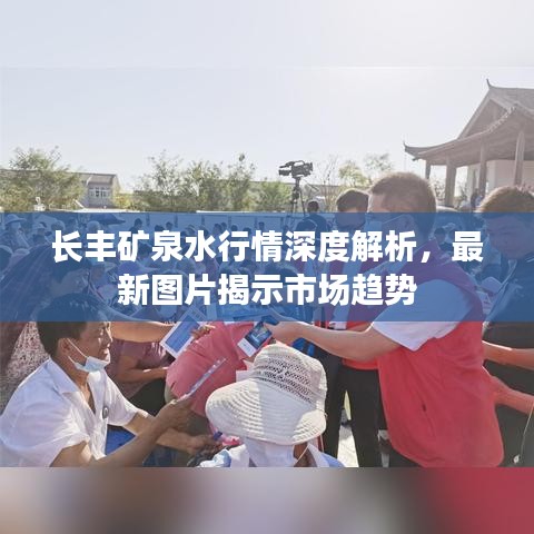长丰矿泉水行情深度解析,最新图片揭示市场趋势