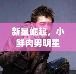 新星崛起,小鲜肉男明星潜力无限,未来值得期待