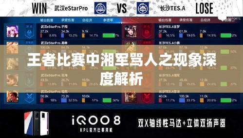 王者比赛中湘军骂人之现象深度解析