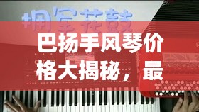 巴扬手风琴价格大揭秘,最新价格表汇总!