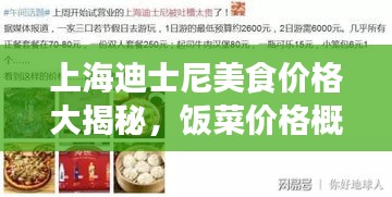 上海迪士尼美食价格大揭秘,饭菜价格概览