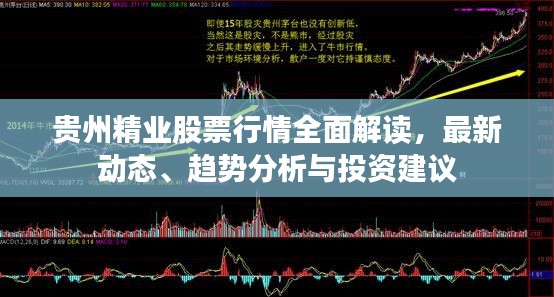 贵州精业股票行情全面解读,最新动态、趋势分析与投资建议